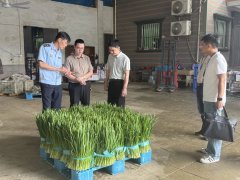 进一步规范食物运营市场秩 